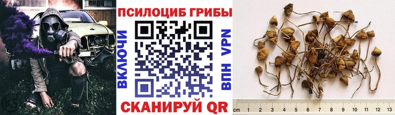 Галлюциногенные грибы ЛСД  Дудинка 